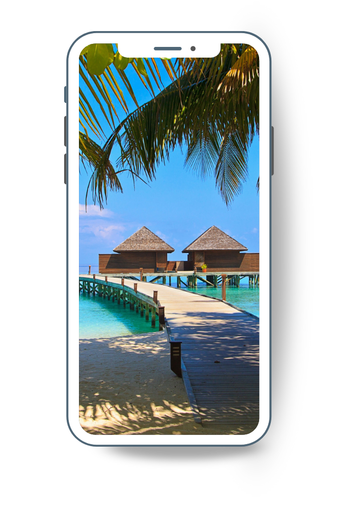 Diseño sin título (25)